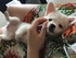 ctyumayy 的會員頭像