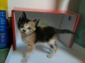 littlecat 的會員頭像