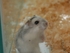 c0979297150 的會員頭像