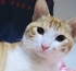 dfg97654 的會員頭像