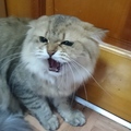 ☆瓴瓴 的會員頭像