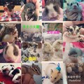 01231210 的會員頭像