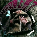 A0987323555 的會員頭像