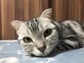 katty1124 的會員頭像