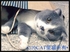 520CAT 的會員頭像