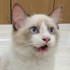 minniehsiang 的會員頭像
