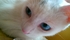 vlsimart0803 的會員頭像