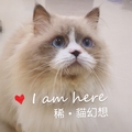 eddie0215 的會員頭像