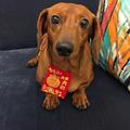 Annann 的會員頭像