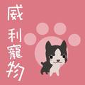 寶貝家族 的會員頭像