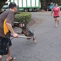 瘋狗俱樂部 的會員頭像