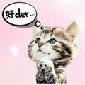 小花貓 的會員頭像