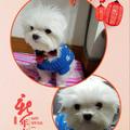 Chen Yi 的會員頭像