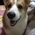 牧羊祐 的會員頭像