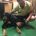 陳子劼 的會員頭像