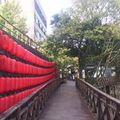 miyamiya 的會員頭像