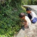 林芳俞 的會員頭像