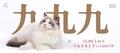 九九九寵物店 的會員頭像