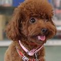 Kenny Chang 的會員頭像