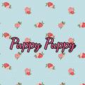puppypuppy 的會員頭像