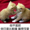 猴子妹 的會員頭像