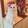 utt 的會員頭像