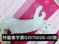 希望愛寵物家 的會員頭像