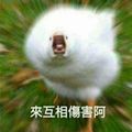 Tenzau Lin 的會員頭像
