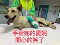 鄭小美 的會員頭像