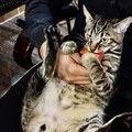 閔閔閔 的會員頭像