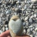 張宏暐 的會員頭像