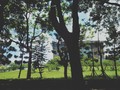 小春 的會員頭像