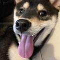 她啊她啊 的會員頭像