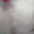 陳candy 的會員頭像