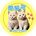 酷貓的窩 的會員頭像