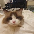 王啟銘 的會員頭像