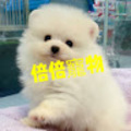 張倍倍 的會員頭像