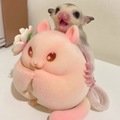 小小珽 的會員頭像