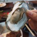小鱷魚 的會員頭像