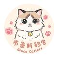 布魯斯貓舍 的會員頭像