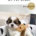 MyPetStory 的會員頭像