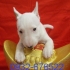 terrier 的會員頭像