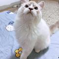 zhang_1006 的會員頭像