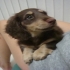 luxy410 的會員頭像