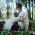 wangguo 的會員頭像