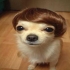 niulove 的會員頭像