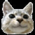 marycat 的會員頭像
