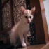 kitty5282 的會員頭像