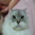 張佩佩 的會員頭像