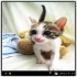 qw60051090@yahoo.com.tw 的會員頭像